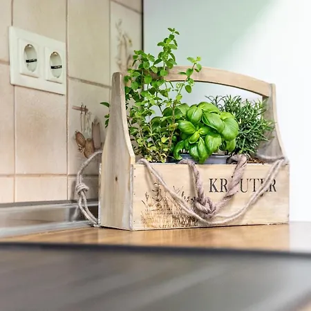 Apartamento Heidi Kimmig Bad Griesbach (Baden-Wurttemberg)